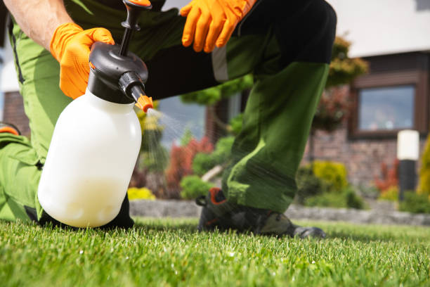 Best Termite Control Services  in Washington, UT