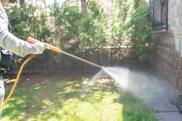 Best Residential Pest Control  in Washington, UT
