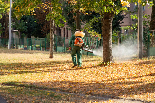 Best Ant Control Services  in Washington, UT